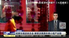 国产会所视频在线观看,在线观看背后的真实世界 第2张 国产会所视频在线观看,在线观看背后的真实世界 第2张